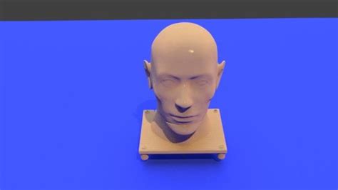neck stl meaning